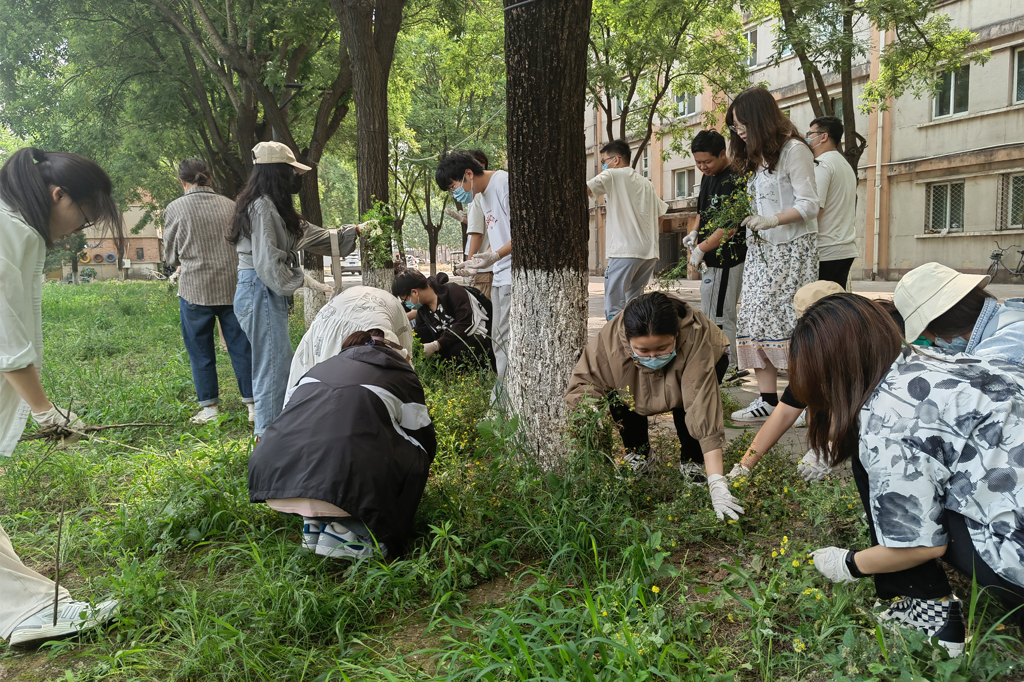 防疫不停学：多学院、多部门联合，推动劳动教育月活动有序开展