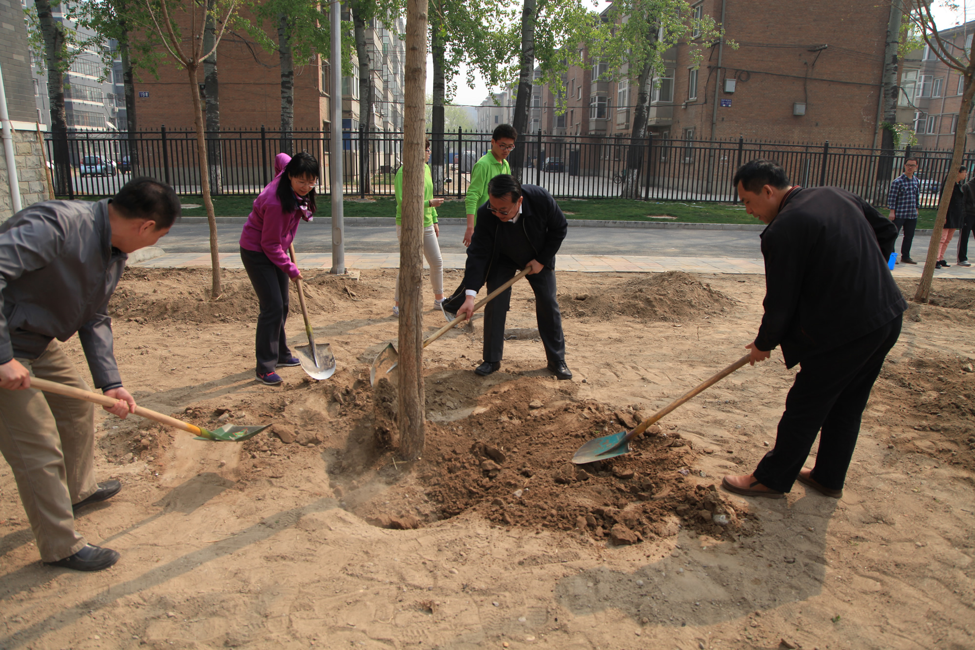 学校开展“义务植树、绿化校园”春季植树活动