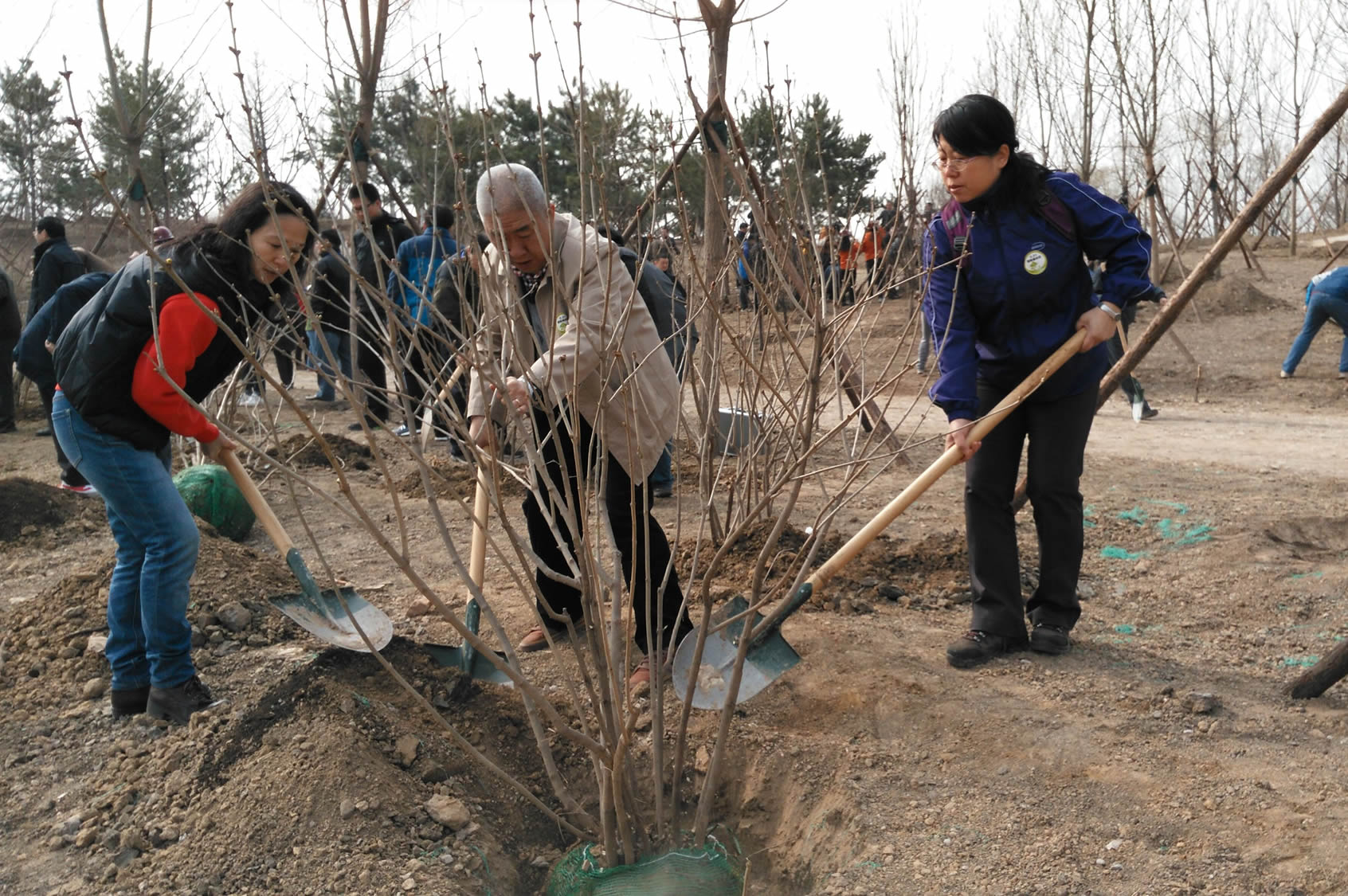 我校职工参加2016年“国际森林日”植树纪念活动