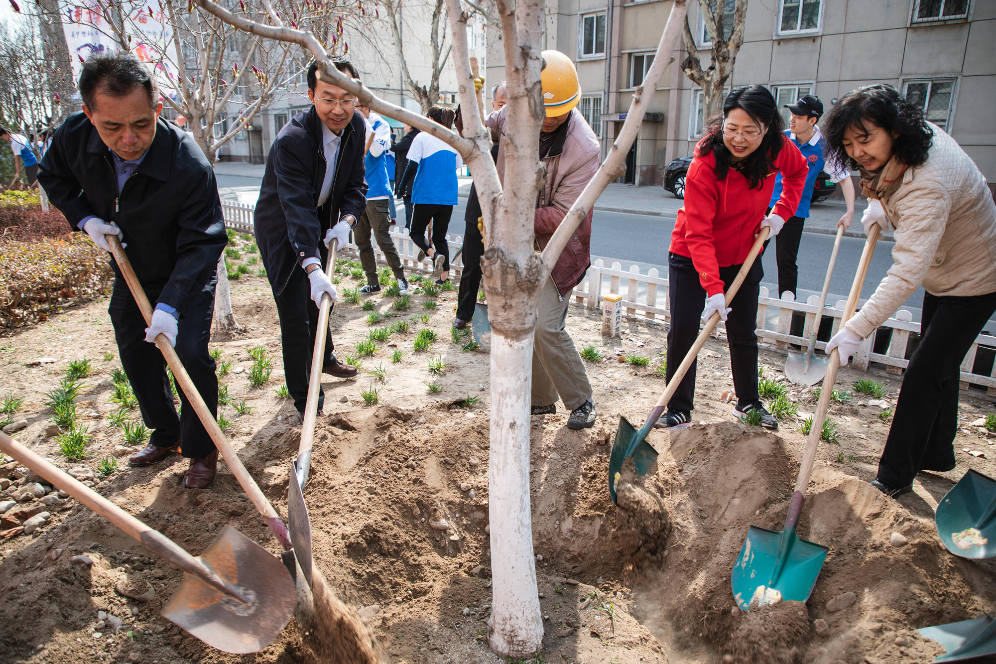 师生共营绿色生命——学校开展2019年植树节活动