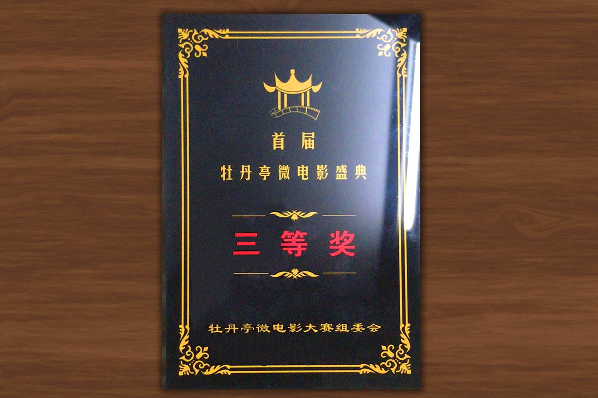 我校学生荣获首届牡丹亭微电影盛典暨第五届万峰林微电影盛典纪实类三等奖