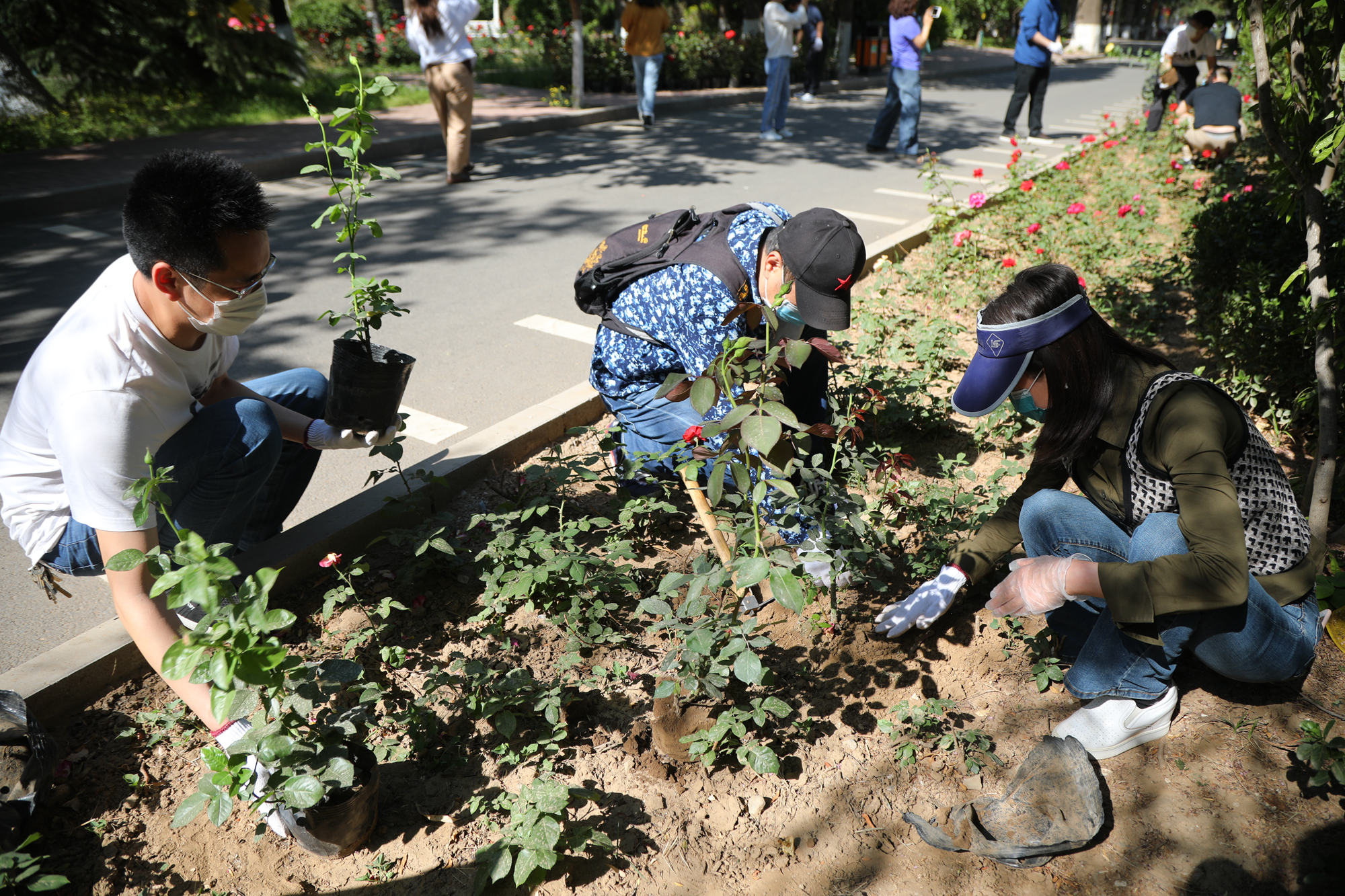 大气污染环境污染农药污染细胞繁殖企业宣传视频素材,工业制造视频素材下载,高清1920X1080视频素材下载,凌点视频素材网,编号:175342