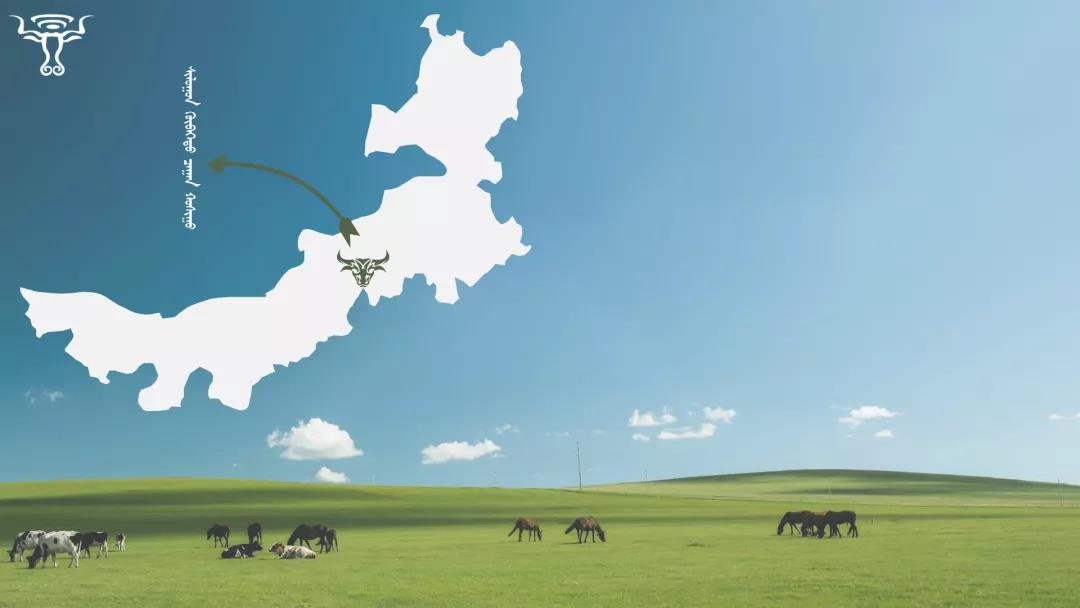 公司全景