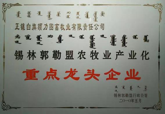 荣誉2